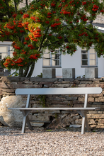 Ladda upp bild till gallerivisning, Bölske